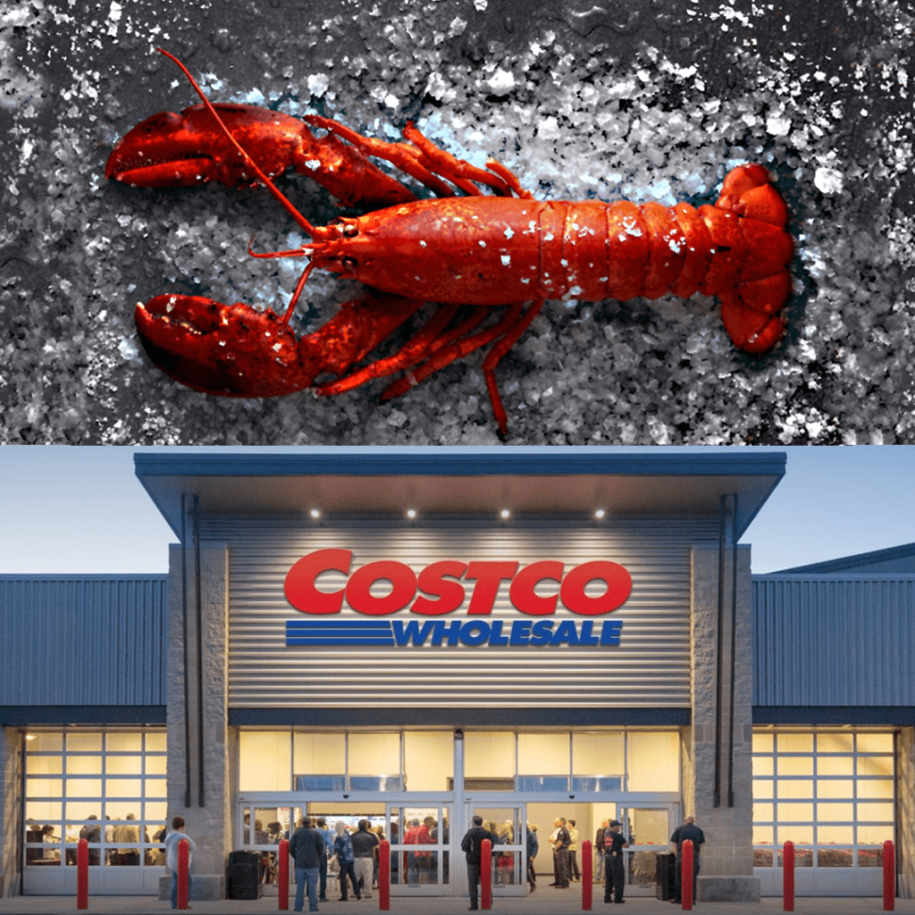 From the sea to mystery- the lobsters that never arrived at Costco. Credit Hittazos