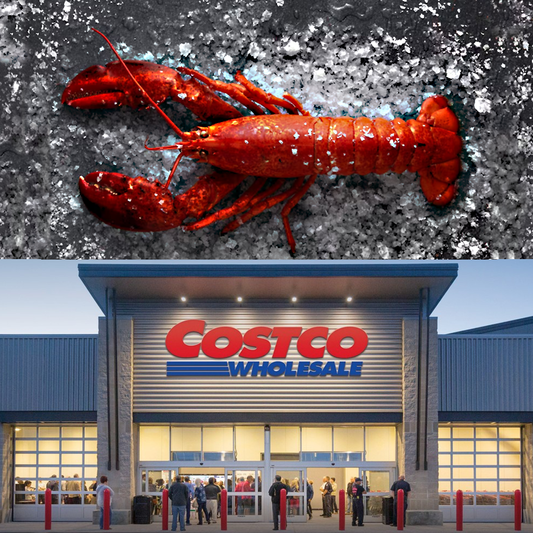 From the sea to mystery- the lobsters that never arrived at Costco. Credit Hittazos